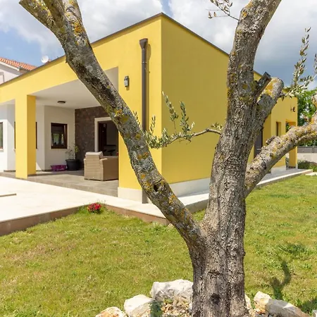 Modern Eve In With Pool Near The Villa