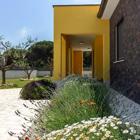 Modern Eve In With Pool Near The Villa Medulin